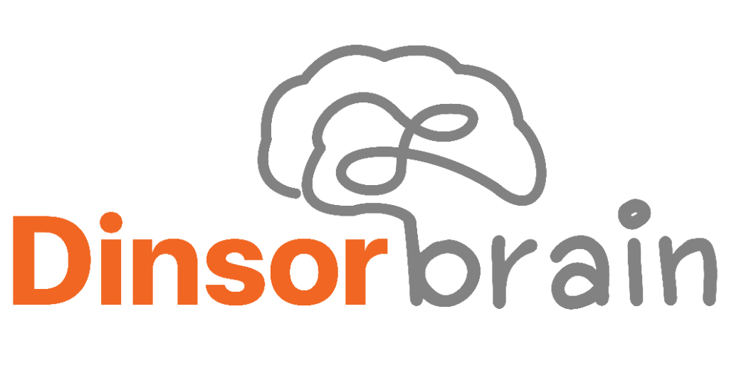 Dinsor Brain
